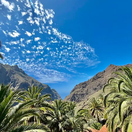 Tenerife Playa La Arena Apartamento *