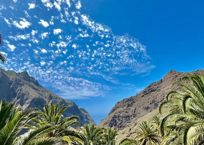 Tenerife Playa La Arena 公寓 *